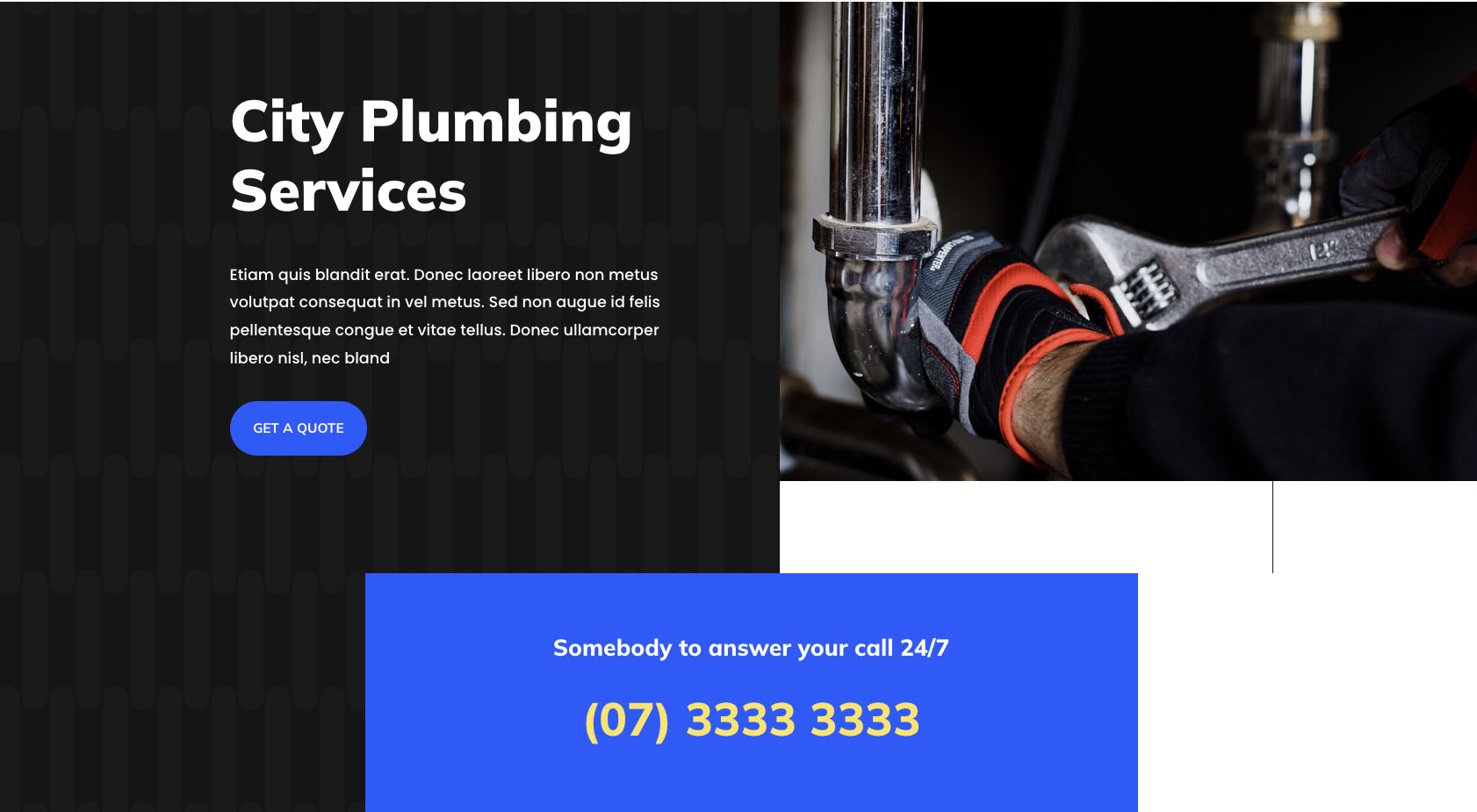 Scar Media Group - Plumber Landing Page Sample image